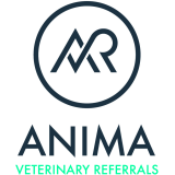 logo anima 2018