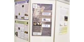 poster fotka3