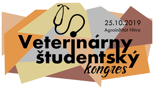 VSK 2019 logo